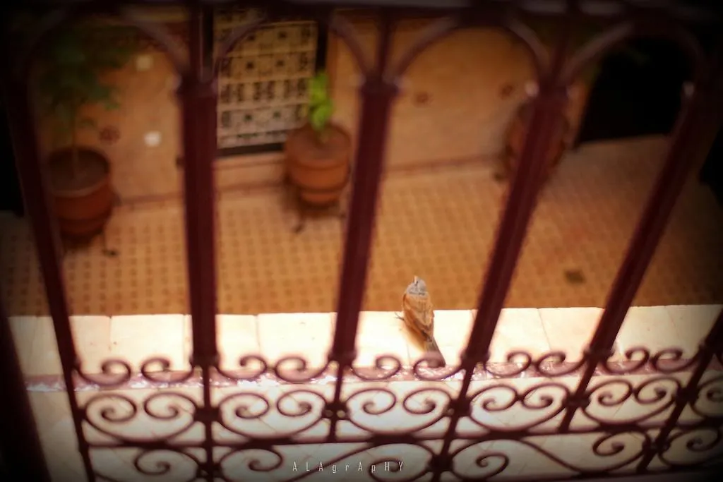 Riad Hotel Marraplace Marrakesh
